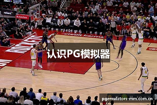 认识PG模拟器